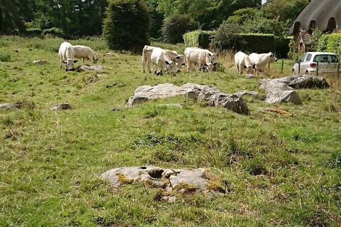 Stonehenge, and Avebury in One Day - Experience the Best of South England in One Day