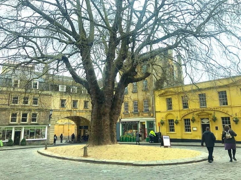 Stonehenge, Bath, Windsor and Roman Baths London Day Tours - Final Thoughts: Is This Tour Right for You?