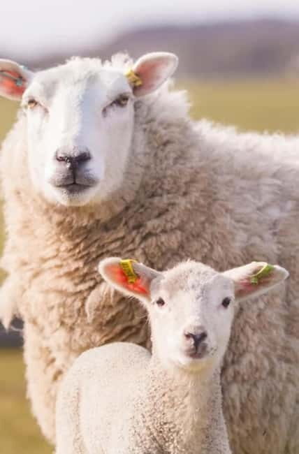Stonehenge, Bath, Windsor, Cotswolds Villages - The Practical Side: What to Expect