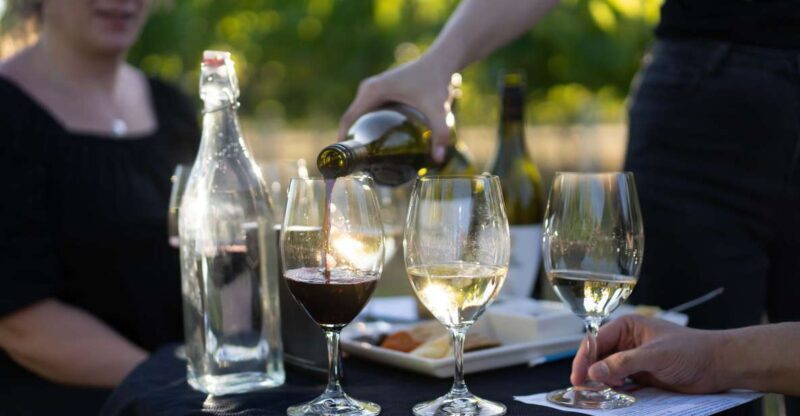 Strange Bird Flight of 3 Wine & Cheese - Final Thoughts