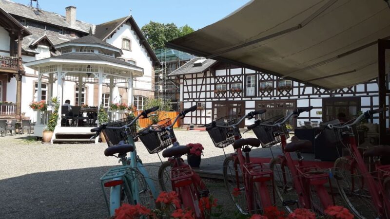 Strasbourg: 1-Day Bike Rental - Strasbourg: 1-Day Bike Rental – A Practical and Enjoyable Way to See the City