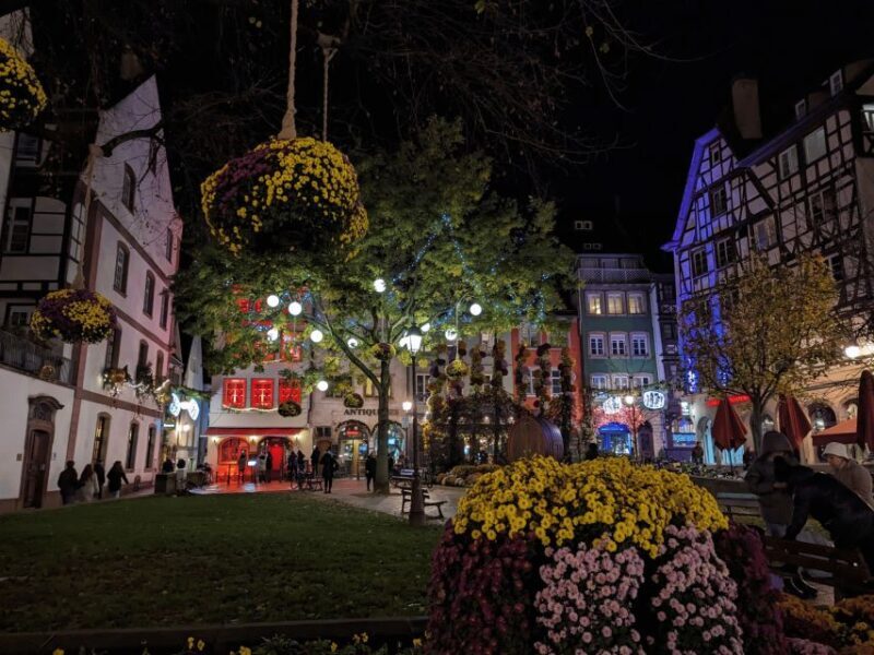 Strasbourg: Christmas Market by Night with Mulled Wine - A Detailed Look at the Strasbourg Christmas Market by Night Tour