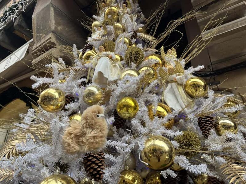 Strasbourg: Christmas Walking Tour with Mulled Wine - Deep Dive Into the Itinerary and Why It Matters