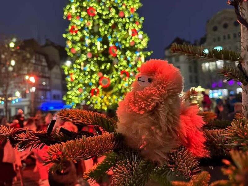 Strasbourg: Christmas Walking Tour with Mulled Wine - Who Will Love This Tour?