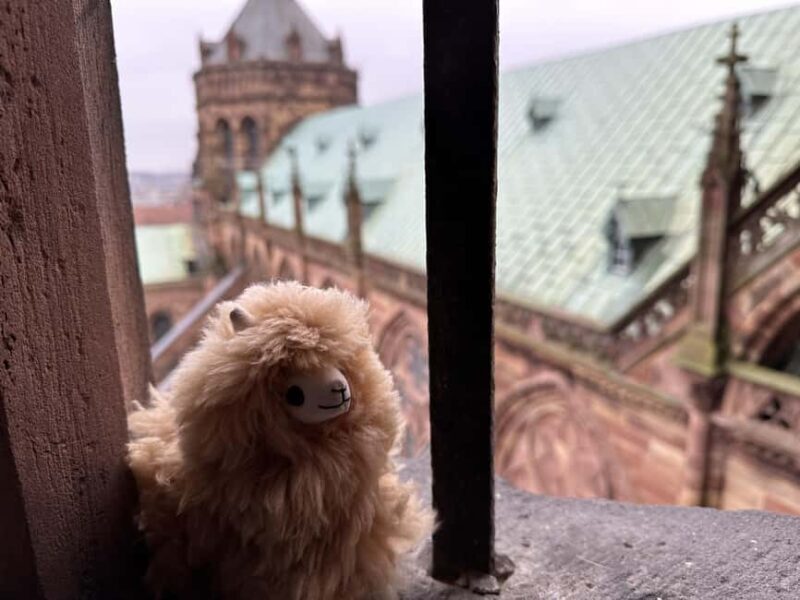 Strasbourg: Christmas Walking Tour with Mulled Wine - Final Thoughts