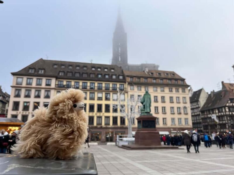 Strasbourg: Colmar, Villages & Castle Private Day Trip - FAQ