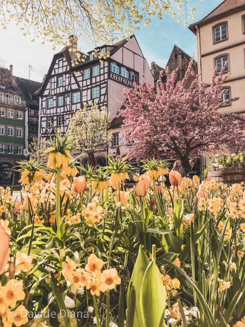 Strasbourg: Gastronomic and Walking Tour in the Old Town - Exploring Strasbourg with a Food-Focused Lens