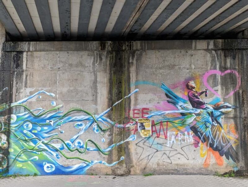 Strasbourg : Street-Art Tour - Key Points