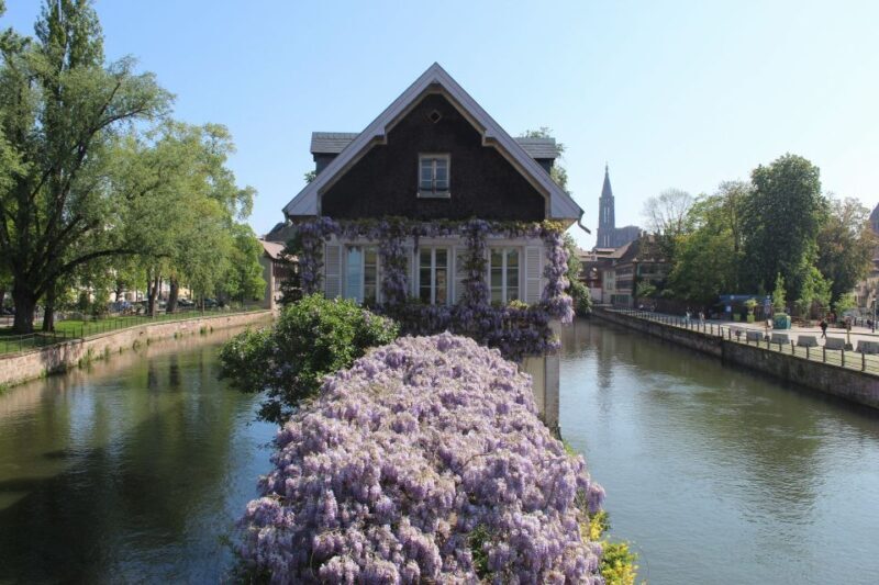 Strasbourg: Walking Tour with Local Guide - An Authentic Introduction to Strasbourg