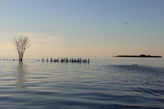 Strawberry Islands Scenic Boat Tour and Historic Cottage Row - Key Points