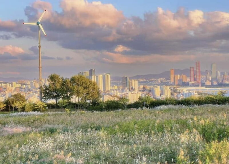 Strawberry & Mt.Gamaksan & Eunpyeong Hanok & Chorigol 164 - Key Points