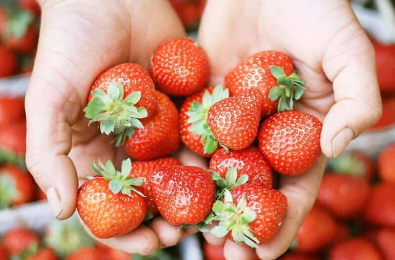 Strawberry & Mt.Gamaksan & Eunpyeong Hanok & Chorigol 164 - Final Thoughts on Value and Experience