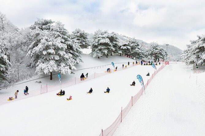 Strawberry Picking, Winter Sled with Eobi Ice Valley from Seoul - FAQ