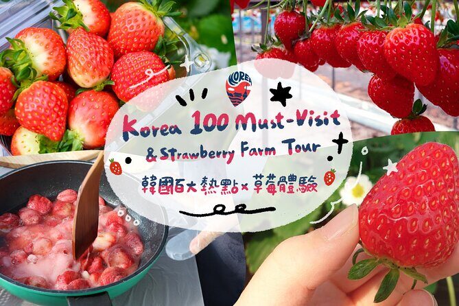 Strawberry Picking+Nami Island+Eobi Valley+Garden Lighting Fest - Key Points
