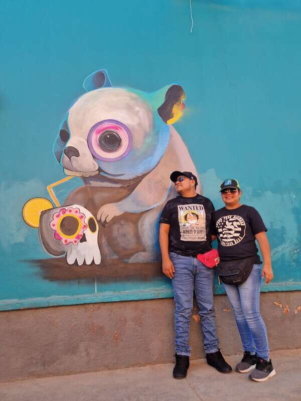 Street Art with an artist - A Deep Dive into the Oaxaca Street Art Tour