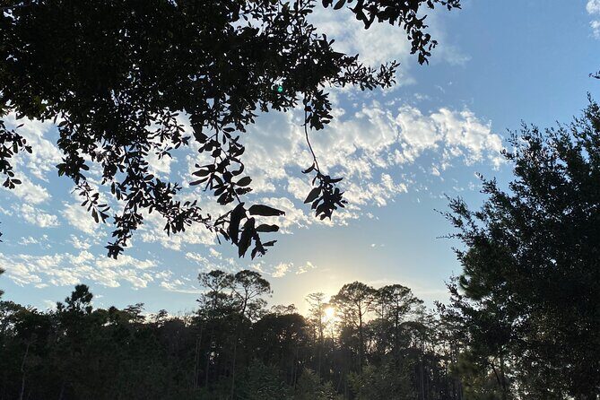 Street Executive Tours And Chauffeur Service Jamaica - FAQ