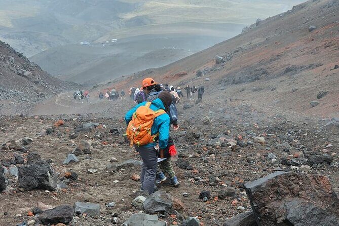 Strenuously Cotopaxi Volcano and birding by the lagoon (Private) - Final Thoughts