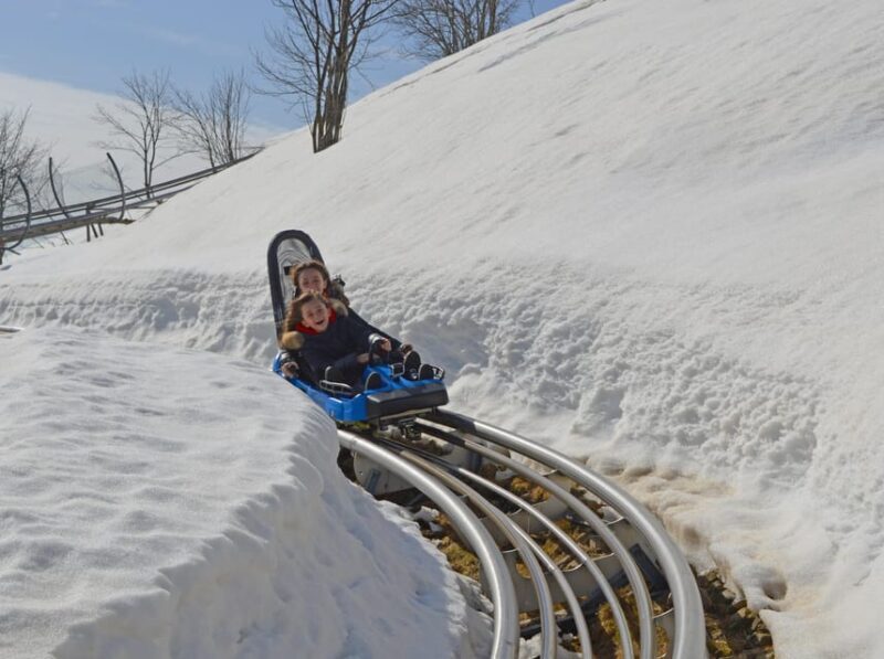 Stresa: Alpyland Alpine Coaster Ride on Mount Mottarone - A Deep Dive into the Alpyland Alpine Coaster Experience