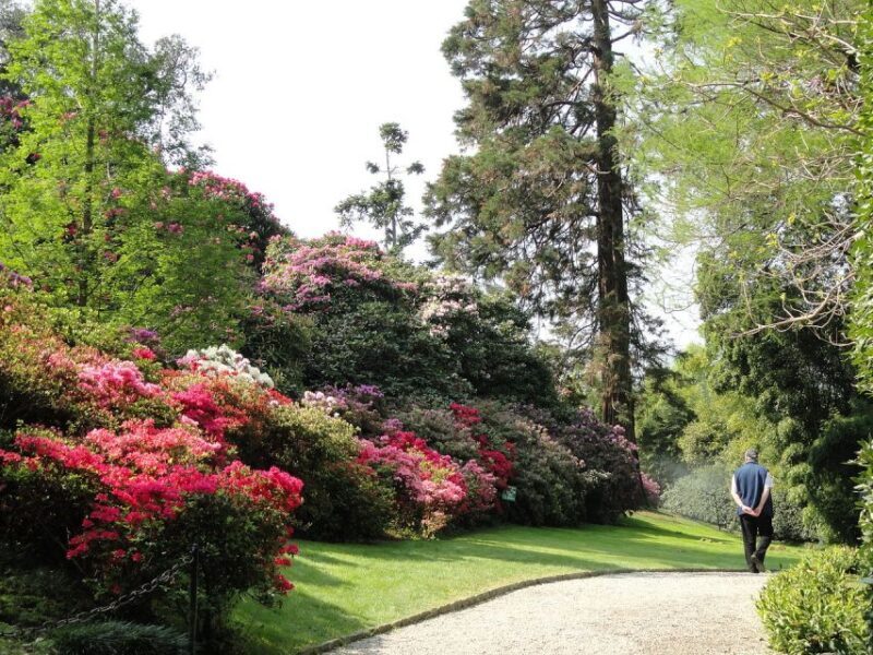 Stresa: Madre & Bella Borromean Islands Boat Trip - The Sum Up