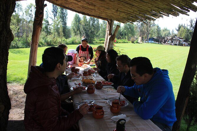 Stroll in the famous floating gardens of ancient Mexico - A Deep Dive into the Floating Gardens Tour: What to Expect