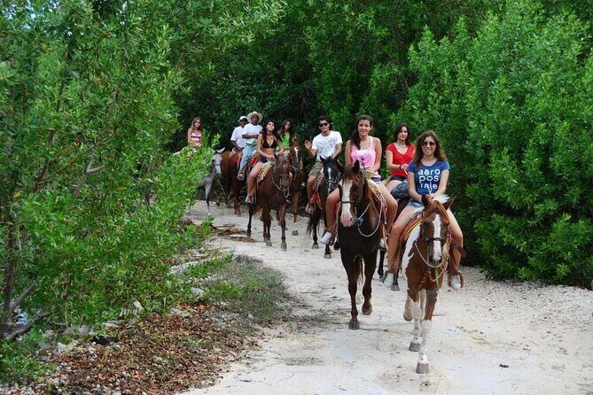 STROLL the Jungle Trails on a HORSE. Includes Transportation and Equipment. - Exploring the Experience in Detail