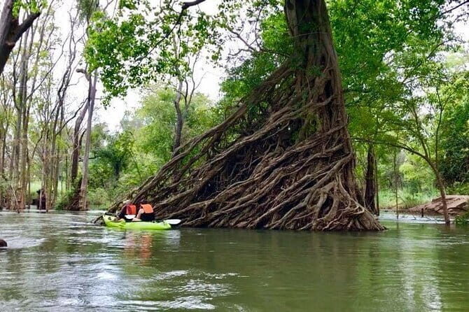 Stung Treng Canoeing In Mekong River - Key Points