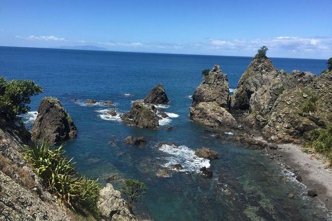 Stunning Auckland East Coast Walk & Wine Private Tour - What the Reviews Say: Authentic Perspectives