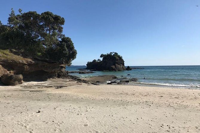 Stunning Auckland East Coast Walk & Wine Private Tour - Frequently Asked Questions