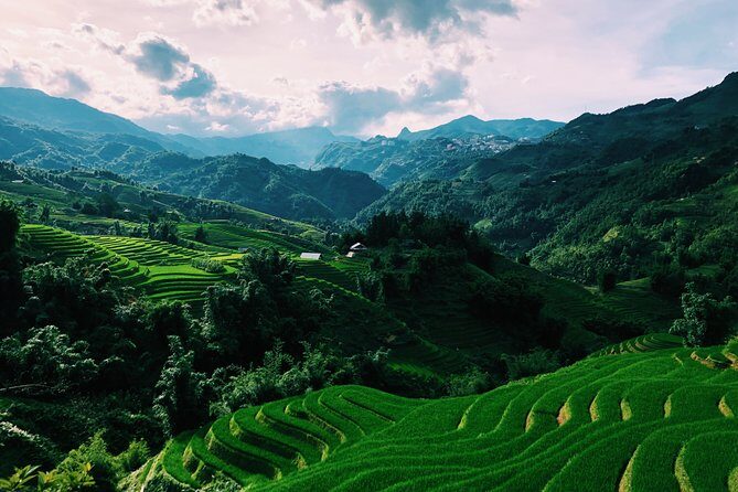 Stunning Terraced Rice Fields on 2-Day Trekking - The Whole Experience: A Detailed Look