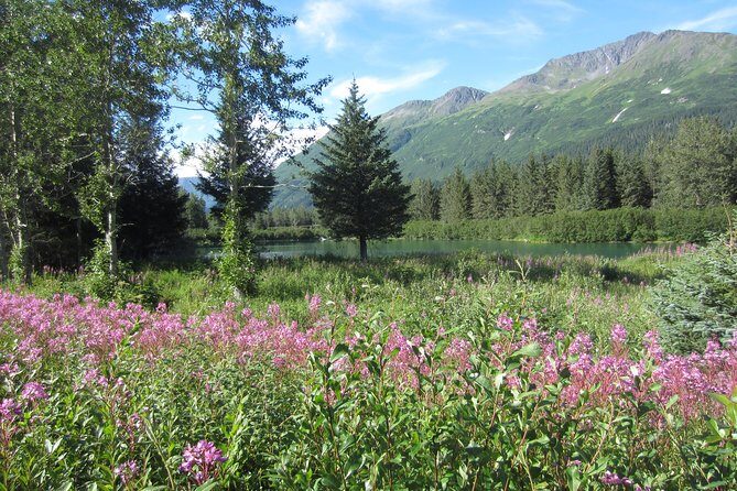 Stunning Turnagain Arm Tour: "A Must See Destination" - Key Points