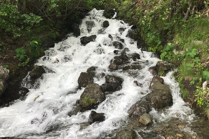 Stunning Turnagain Arm Tour: "A Must See Destination" - The Sum Up
