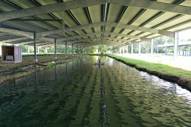 Sturgeon Fish-Farm Visit and Caviar Discovery Tasting in Neuvic - The Tasting Experience: More Than Just Caviar