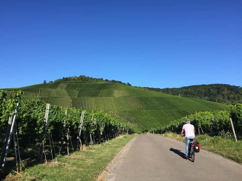 Stuttgart: E-bike wine tour including tasting - Explore the Vineyards of Stuttgart on Two Wheels