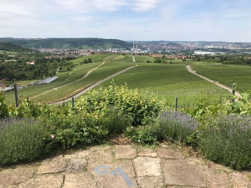 Stuttgart: E-bike wine tour including tasting - The Wines and Food: A Perfect Pairing