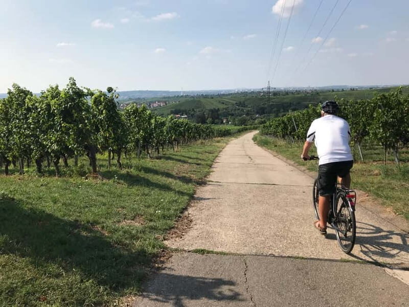 Stuttgart: E-bike wine tour including tasting - FAQs