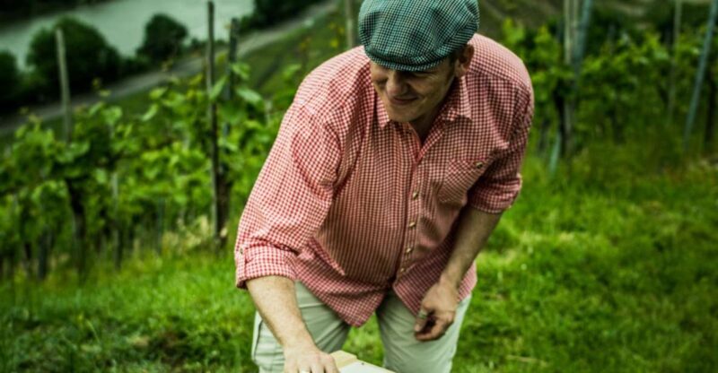 Stuttgart: Guided Vineyards Tour - Who Would Love This Tour?