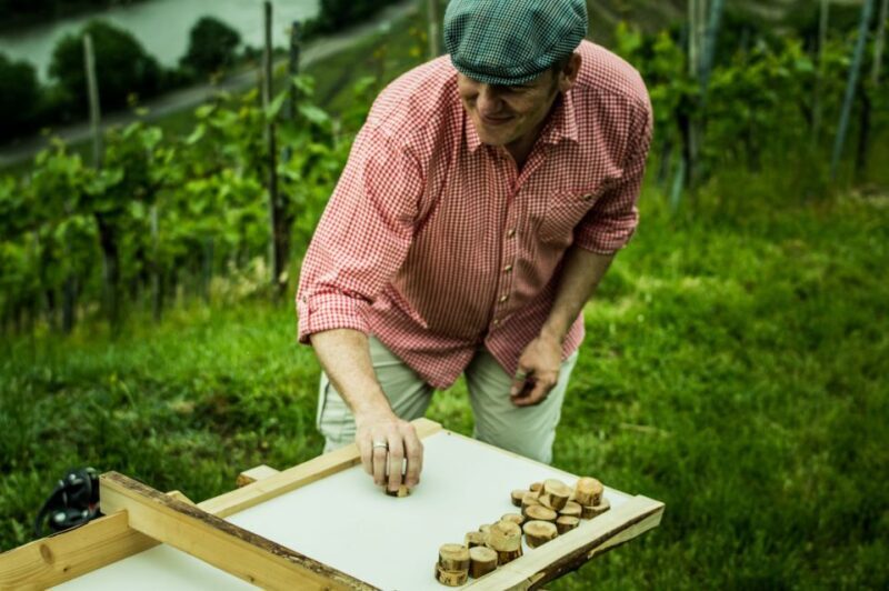 Stuttgart: Guided Vineyards Tour - The Sum Up: Is It Worth It?
