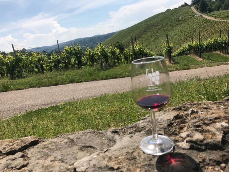 Stuttgart: Guided Wine Walk & Wine Tasting - Final Thoughts