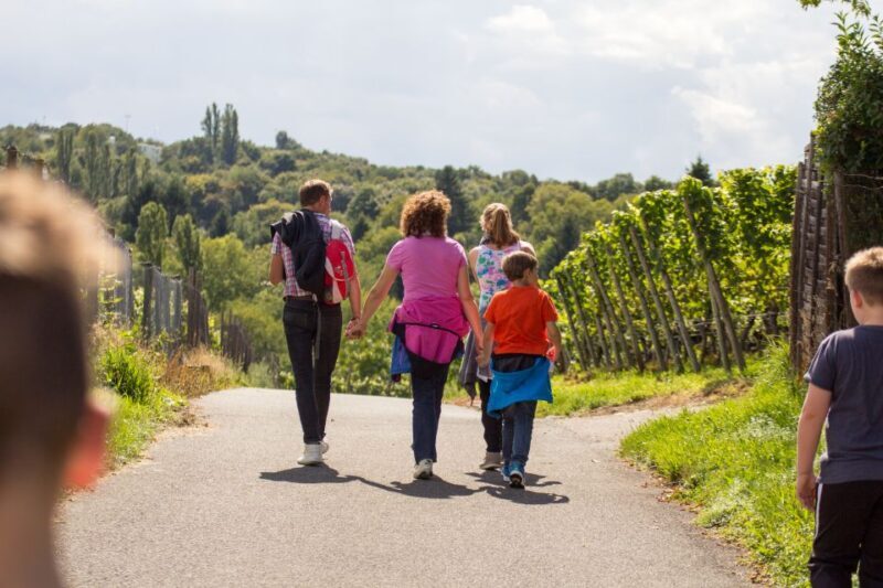 Stuttgart Nature Experience Day - Key Points