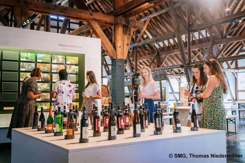 Stuttgart: Taster tour of the Wine Museum incl. 0.1 l wine - An In-Depth Review of the Stuttgart Wine Museum Taster Tour