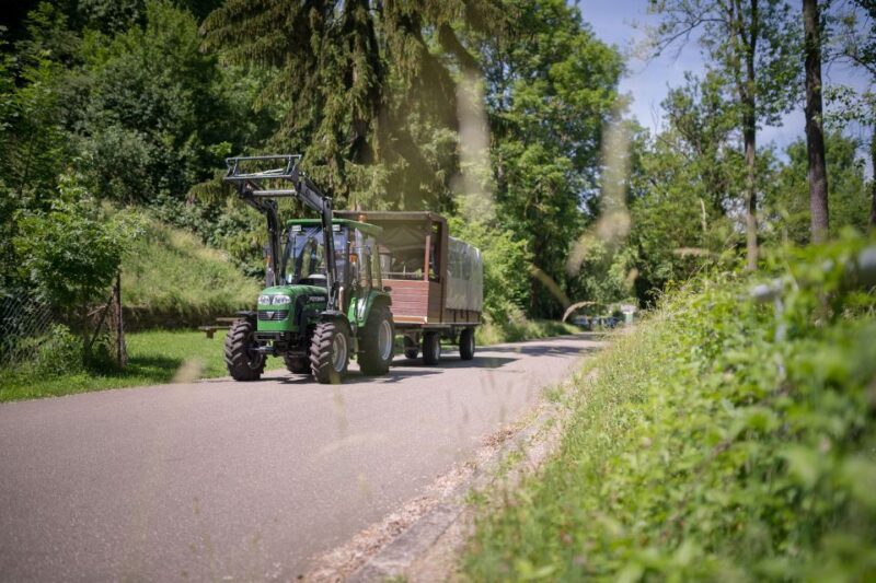 Stuttgart: Vineyard Tour by Covered Wagon - Who Should Consider This Tour?