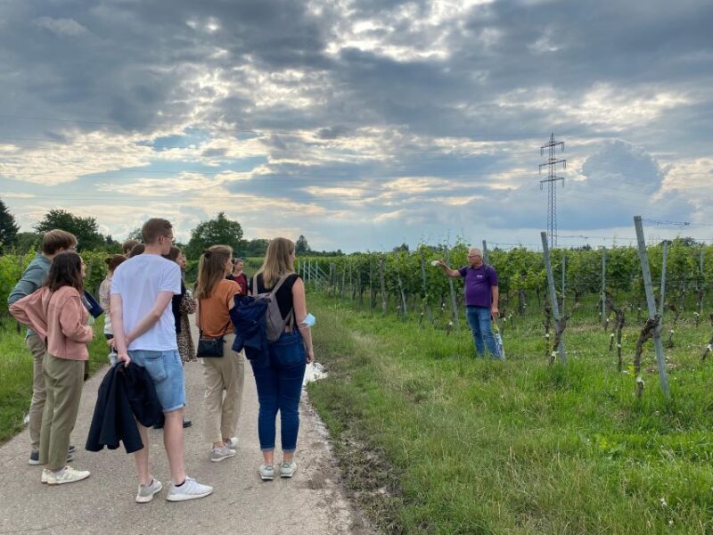 Stuttgart: Wine Tour with wines of the best winemakers - Who Will Love This Tour?