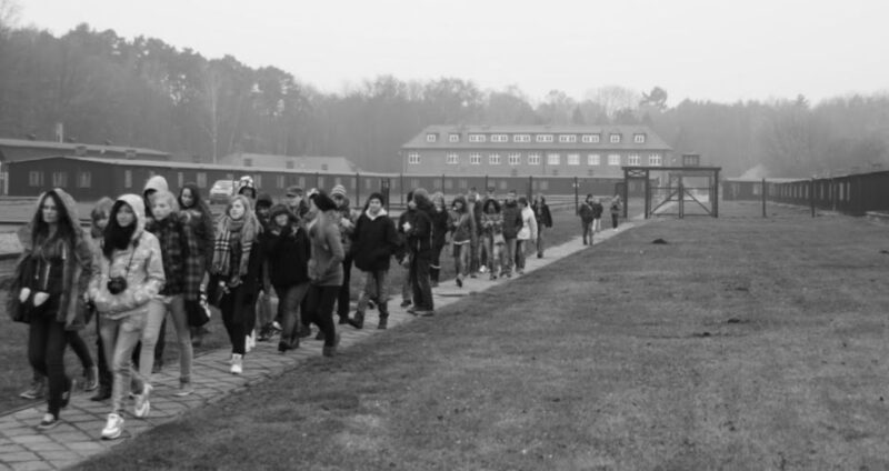 Stutthof Concentration Camp Half-Day Private Tour - Who Will Love This Tour?