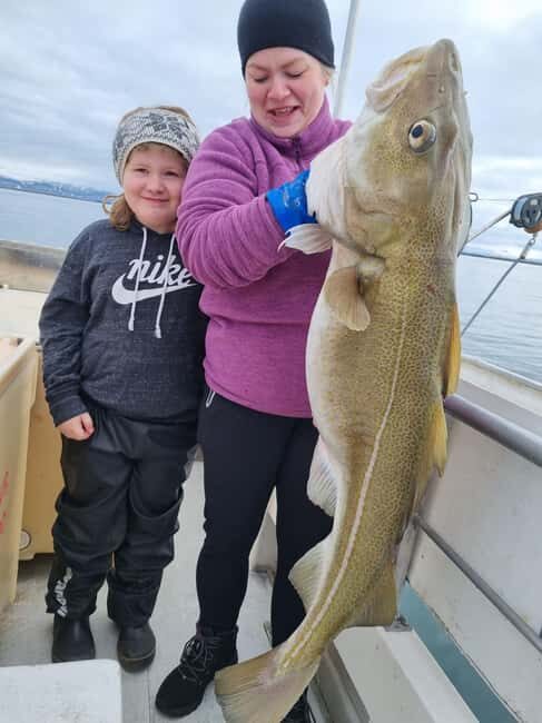 Stykkishólmur: Sea Angling Tour with Local Guide - An Authentic Icelandic Sea Angling Adventure from Stykkishólmur