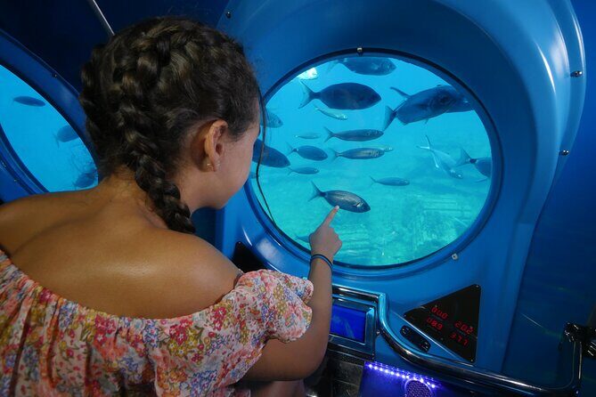 SUBMARINE ADVENTURE - Submarine Excursion in Puerto de Mogán - Final Thoughts
