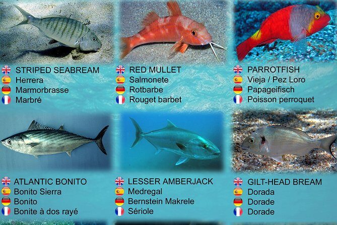 Submarine Safaris Lanzarote - FAQ