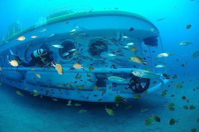 Submarine tour Tenerife: a 1 hour underwater experience - A Deep Dive into the Tenerife Submarine Tour
