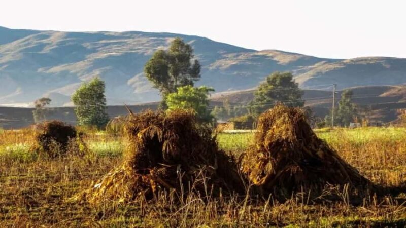 Sucre: Sunrise, the Crater de Maragua and old Cave Paintings - The Sum Up