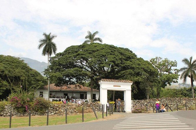 Sugar Cane Hacienda El Paraiso & Nature Day Tour - Who Is This Tour Best For?