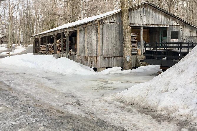 Sugar Shack (Feb to May) Maple Syrup Private Day Tour with lunch from Montreal - Key Points
